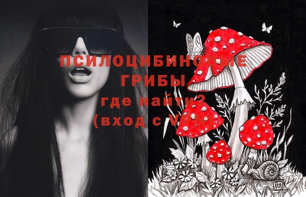 хмурый Алзамай