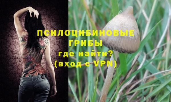 марки lsd Абаза
